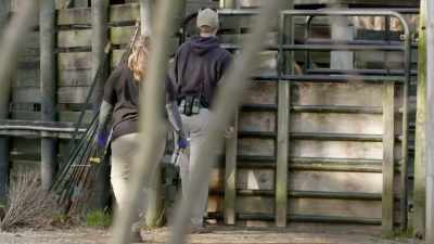 There's a really big
logistical challenge - Secrets of the Zoo