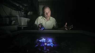 There's a severe danger - Attenborough's Life in Colour