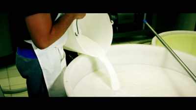 - There's a strong link 
between dairy foods - What the Health
