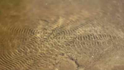 There's a whole
field called cymatics - Superhuman: The Invisible Made Visible