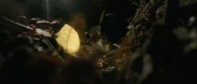 There's actually, for leaf-cutter ants,
there's different castes. - Alien Worlds