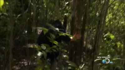 THERE'S ACTUALLY
QUITE A STRONG CURRENT - Man vs. Wild