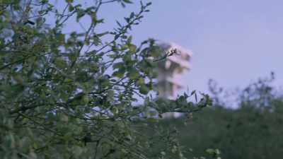 - There's also a tower - Never Seen Again