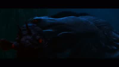 - There's always a bigger fish. - Star Wars: Episode I   The Phantom Menace