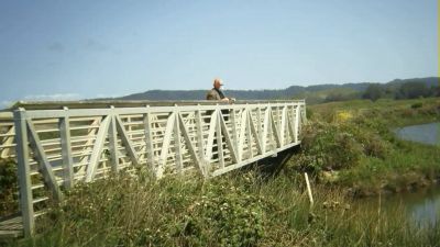 There's an old guy on the bridge - Birdemic: Shock and Terror