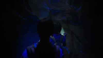 There's an unexplained
phosphorescence on the cave walls. - Surfside Girls