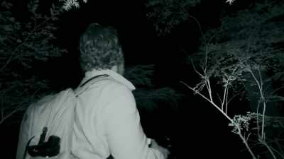  There's at least
 four of them. - Expedition Bigfoot