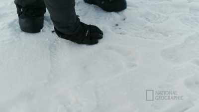 There's bear tracks right there, - Life Below Zero: First Alaskans