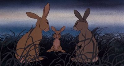 There's been some trouble - Watership Down
