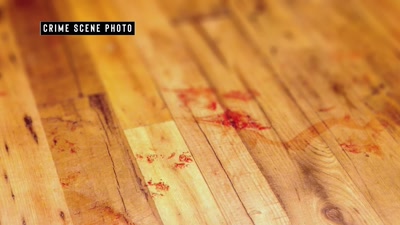 There's blood and tears all over her eyes. - How I Caught My Killer