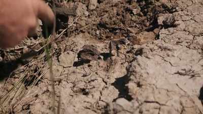 THERE'S BONE GOING THIS WAY,
THERE'S BONE GOING THAT WAY. - Dino Hunters