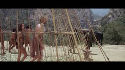 There's Bright Eyes. - Planet of the Apes