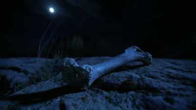 There's consequences getting to
interact with some of these things. - Jack Osbourne's Night of Terror: UFOs
