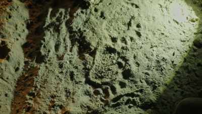 There's definitely been
traffic through here. - Expedition Bigfoot
