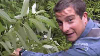 THERE'S DEFINITELY SOME SORT
OF DROP-OFF AHEAD. - Man vs. Wild