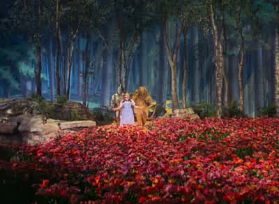 There's Emerald City. - The Wizard of Oz
