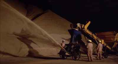 There's enough sugar there to feed an army - Empire of the Ants