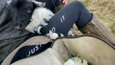 There's everything I could possibly
want in there — gloves, - Our Yorkshire Farm