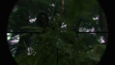 There's grounders in the trees. - The 100