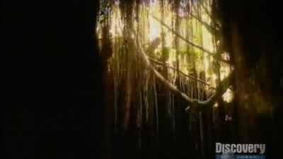 There's another hole
where the rock should have given - Man vs. Wild