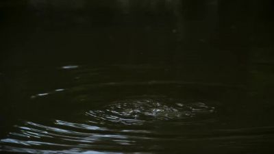 There's just bubbles just coming up to the surface. - 7 Toughest Days