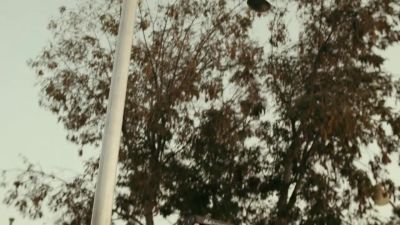 There's like four
playground lights out. - Snowfall