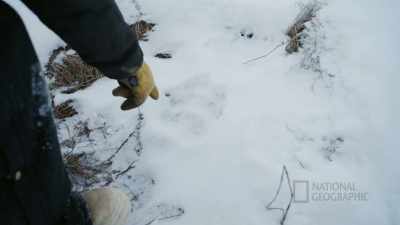 There's like
fresh bear tracks here, - Life Below Zero: First Alaskans
