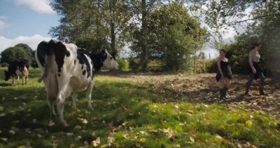 There's Luma. - Cow