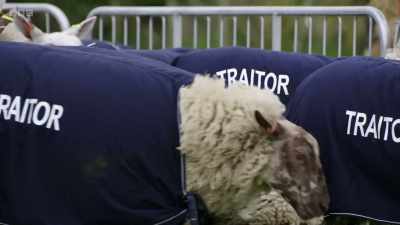 There's more backstabbing
in this place - The Traitors