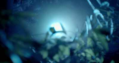 There's movement down there.
Oh, my God. - Lake Placid: Legacy
