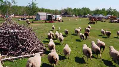 There's so much stuff here, Ave.
How does your mom keep track? - Rust Valley Restorers