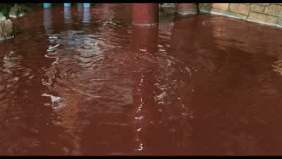 He can't swim No better time to learn - Willy Wonka &amp; the Chocolate Factory