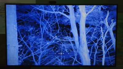 There's no color, apparently, - Beyond Skinwalker Ranch