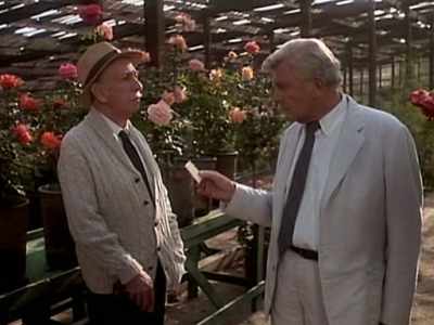There's no David and Goliath. - Matlock