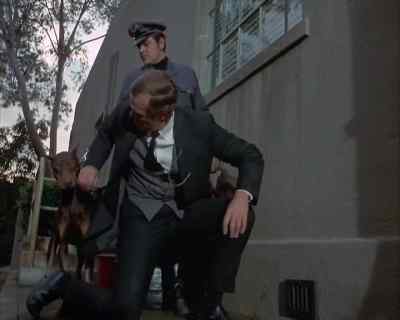 There's no doubt
they were in there. - Land of the Giants
