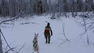 There's no harm in taking
a little extra precaution, - Life Below Zero: Next Generation