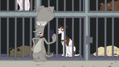 There's no dying
in baseball. - American Dad!