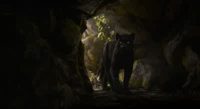 It's the honey stash for winter! - The Jungle Book