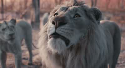There's no reason to fear meI would never harm one of my ownThank you MajestyI'll leave that pleasureto them - Mufasa: The Lion King