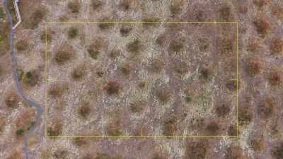 There's no repeating
geometric pattern, - Secrets of the Underground