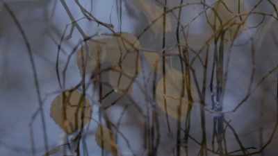 There's no straight,
perfect, parallel lines, - Life Below Zero: Next Generation