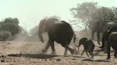 There's no time to waste. - Surviving Paradise: A Family Tale