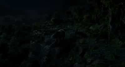 There's no trace of him. - The Jungle Book