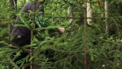 There's not even
a real clearing. - The Disappearance of Maura Murray