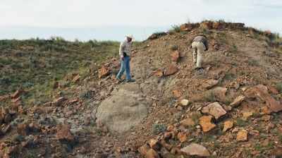 THERE'S NOTHING BETTER
THAN FINDING LIKE A T. REX TOOTH - Dino Hunters