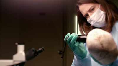 There's nothing holding your
jaw on during decomposition. - Casey Anthony: An American Murder Mystery