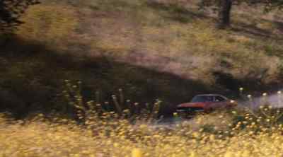 There's nothing
Luke Duke enjoys more... - The Dukes of Hazzard