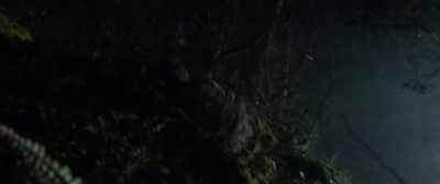 There's nothing more dangerous
to a warrior than emotion. - The Predator
