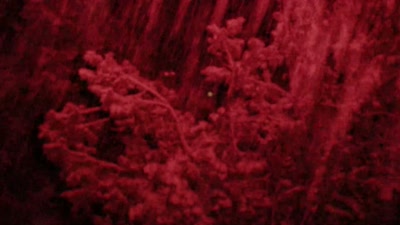 There's nothing out there
with any kind - Beyond Skinwalker Ranch