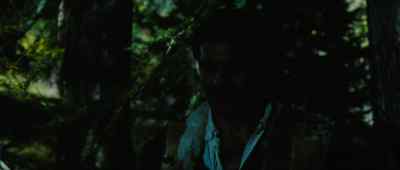 There's nothing to say, is there? - The Last Valley